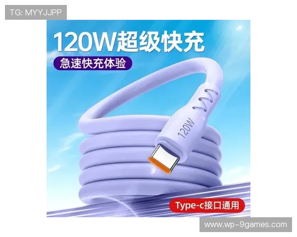 120瓦游戏专用充电器高效快速充电解决方案助力游戏体验提升